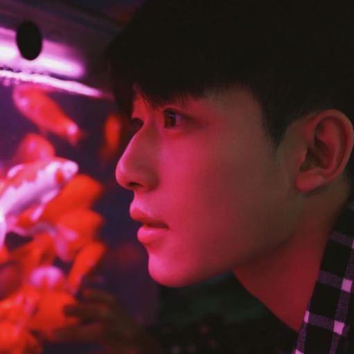 鲨鱼辣椒🌵🌕