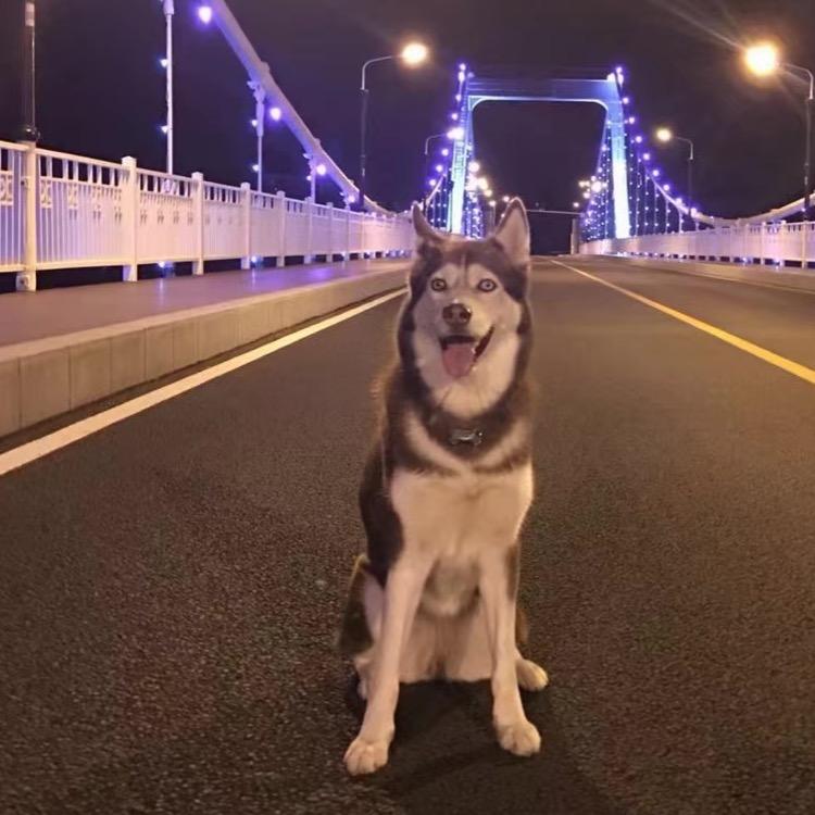 怀🦛少