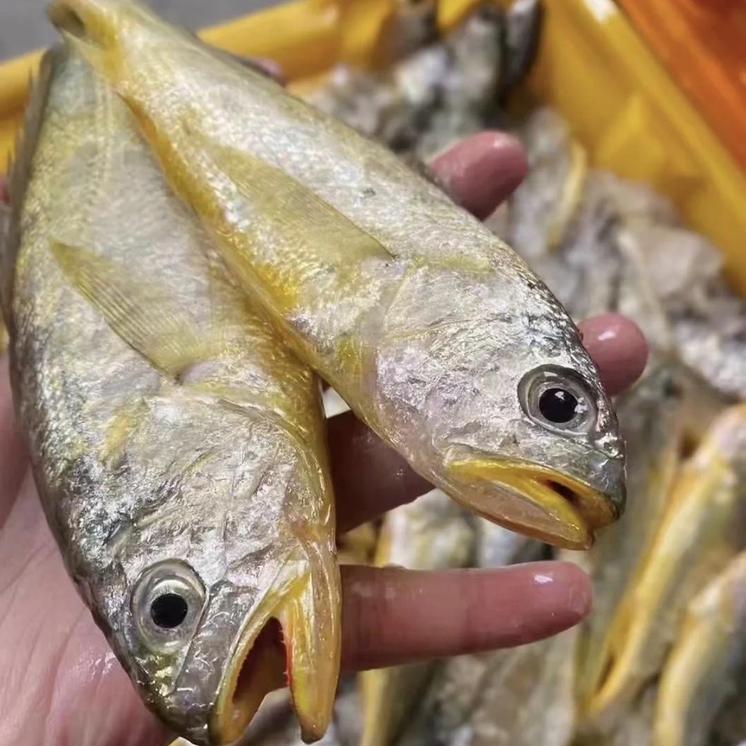鲜多多海鲜原产地