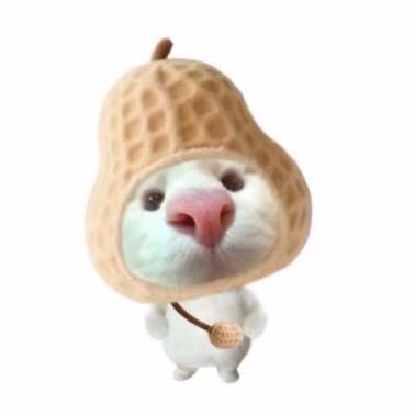银  杏
