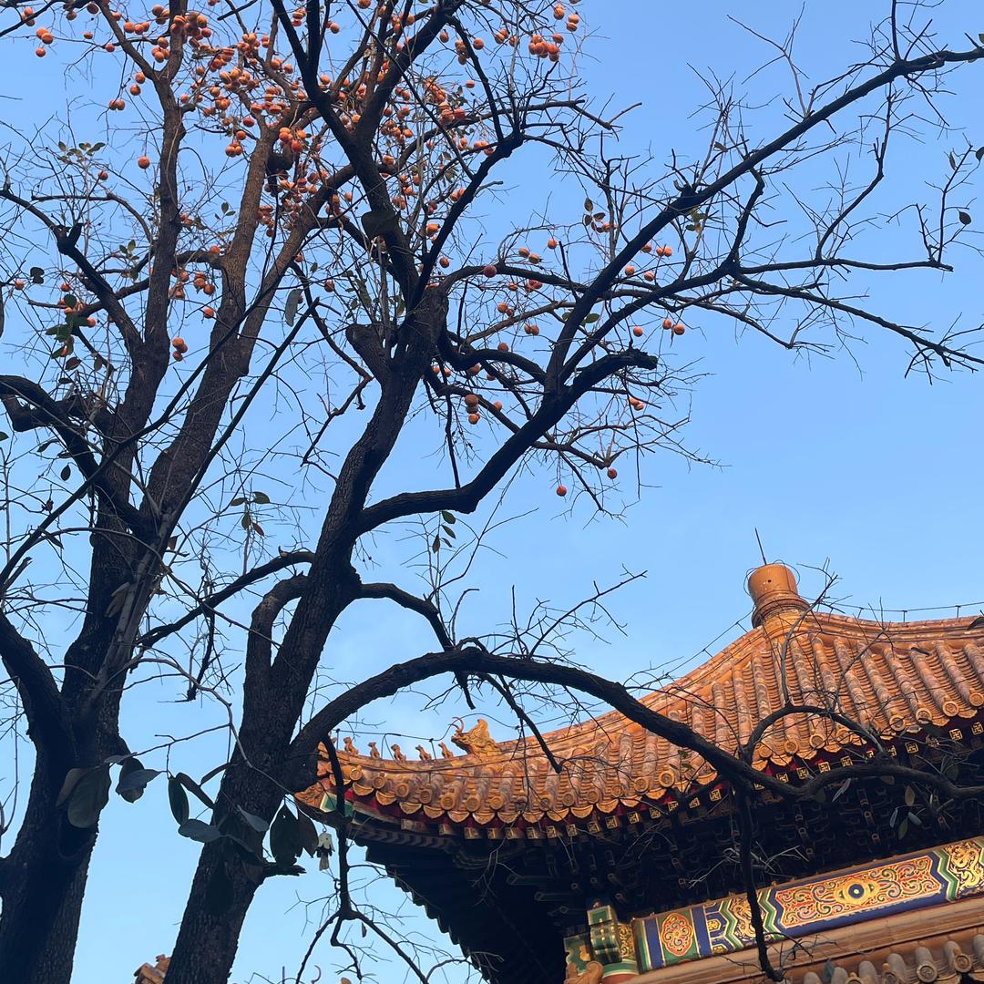 安安在北京