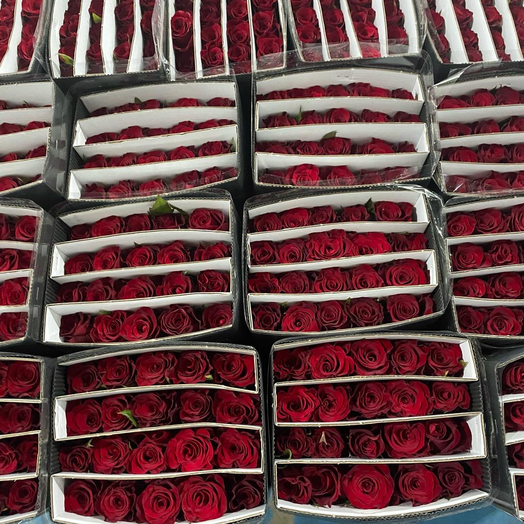小黑说花