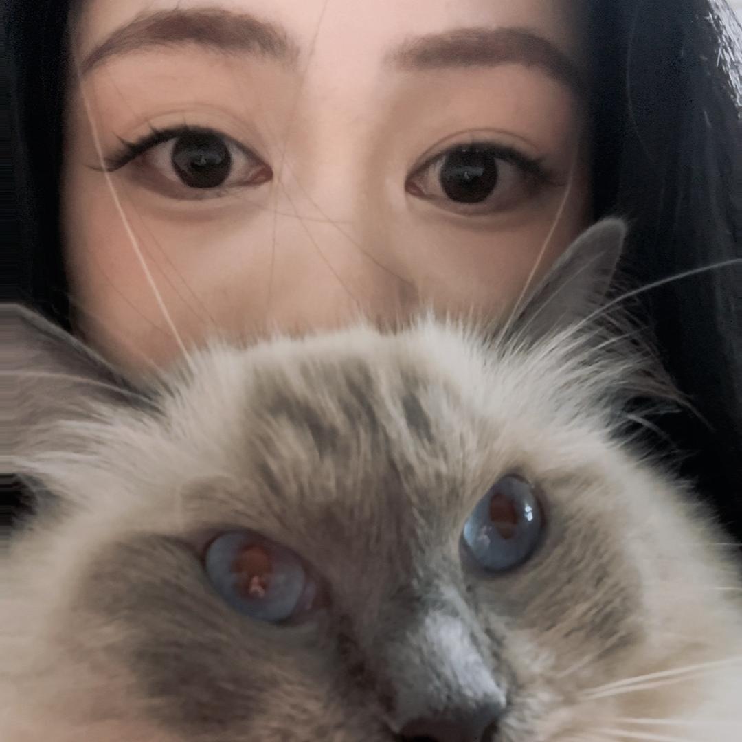 百宝万