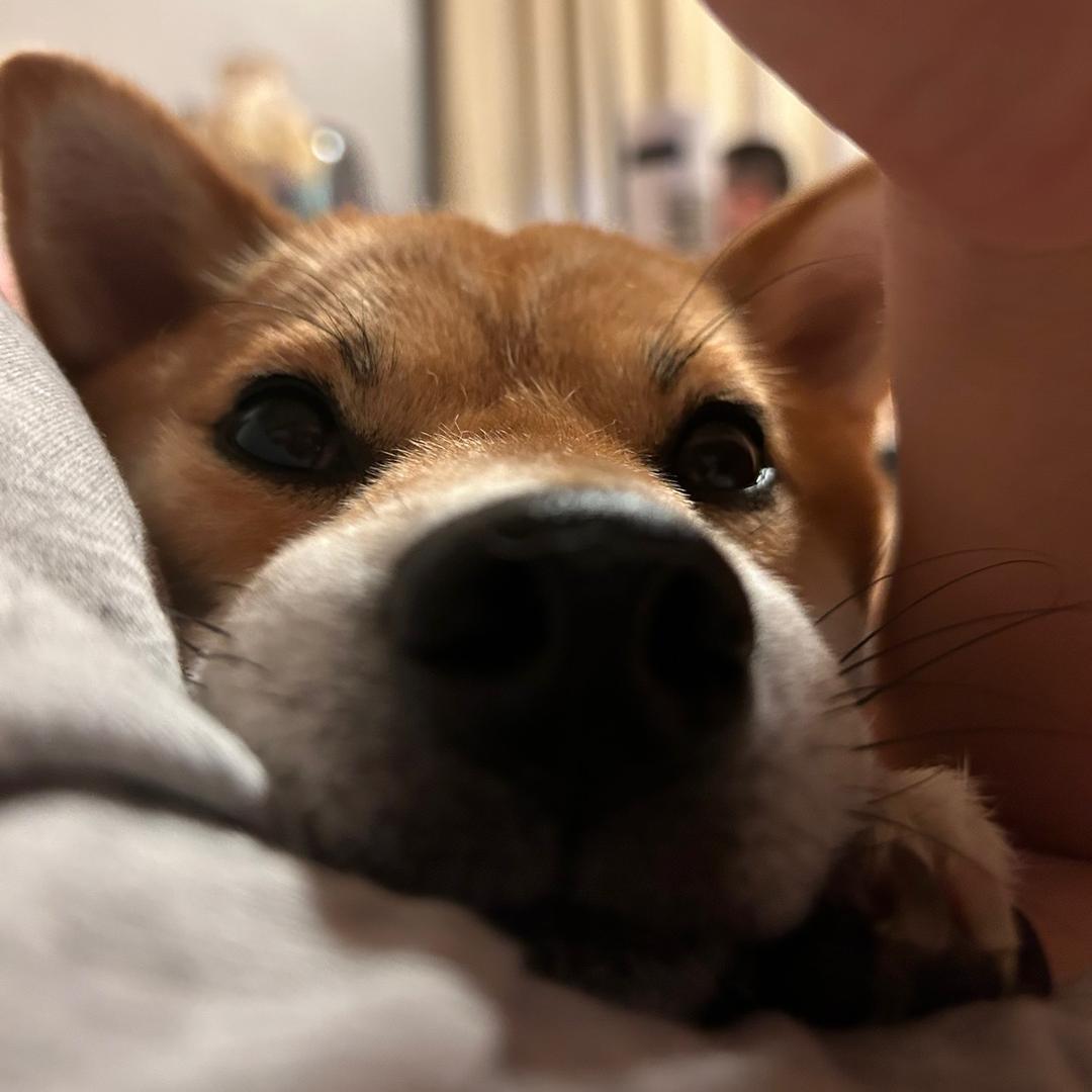 我与她爸的🐶犇（ben）子