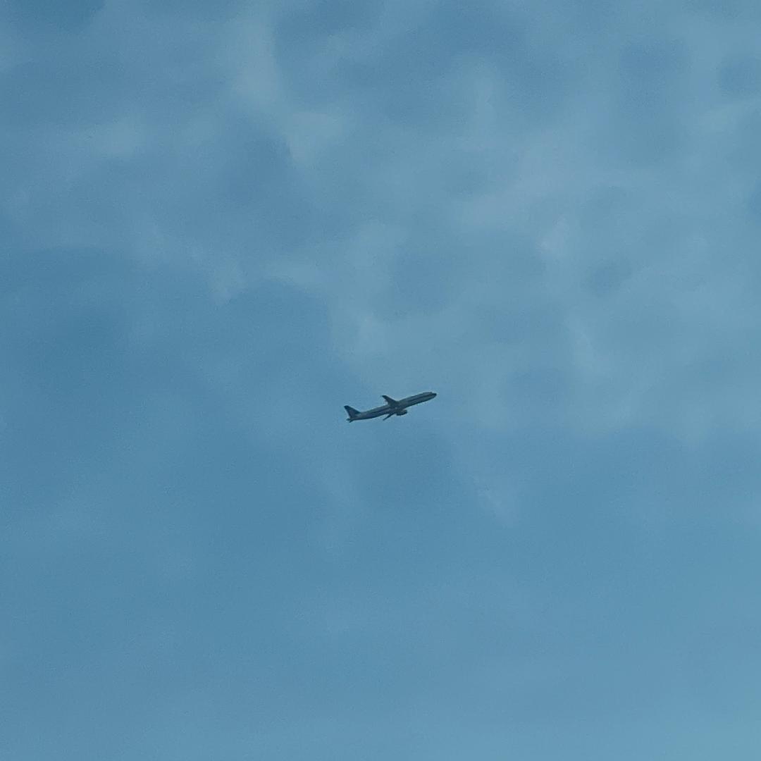 小闫同志