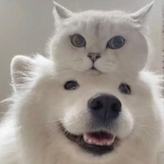 小欣