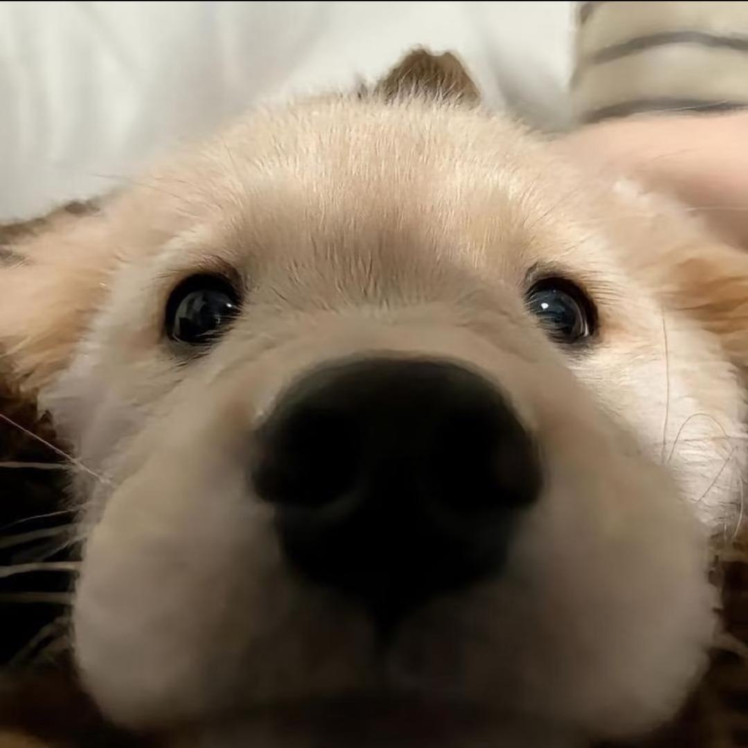 恩恩你继续我没在听