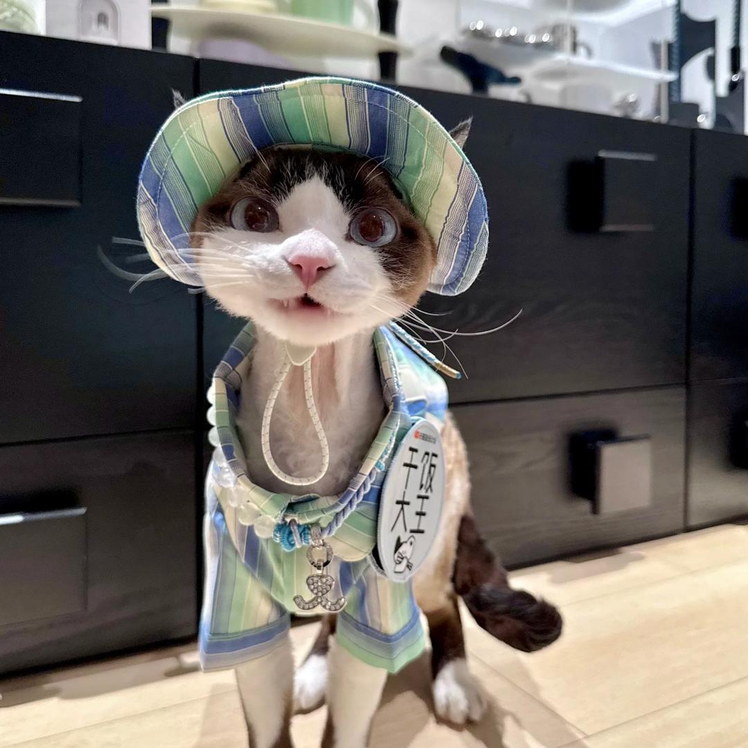 东弘萌宠月月直播号