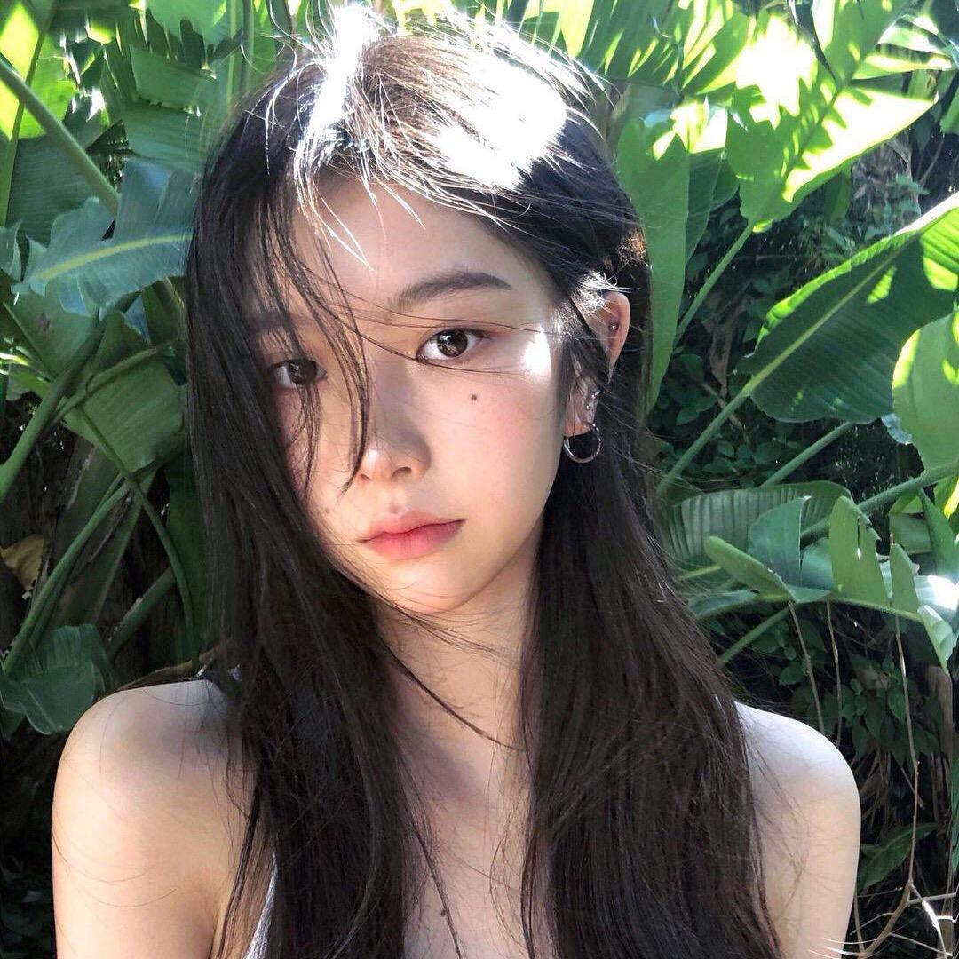 麋鹿¹⁰