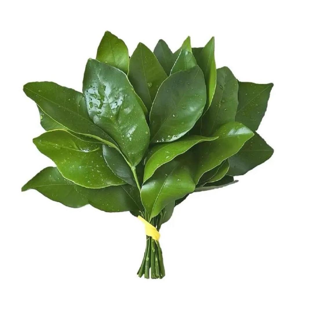 林爆爆