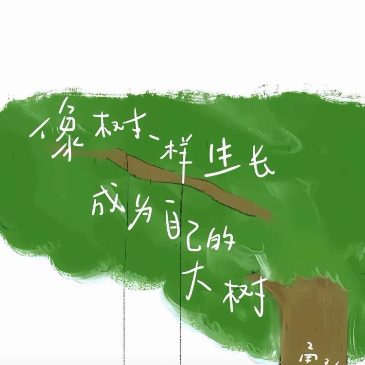 贝贝才