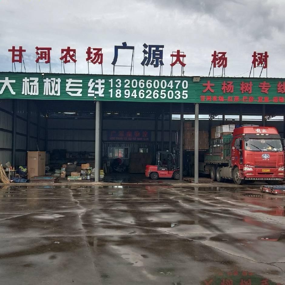 齐市广源货站大杨树专线