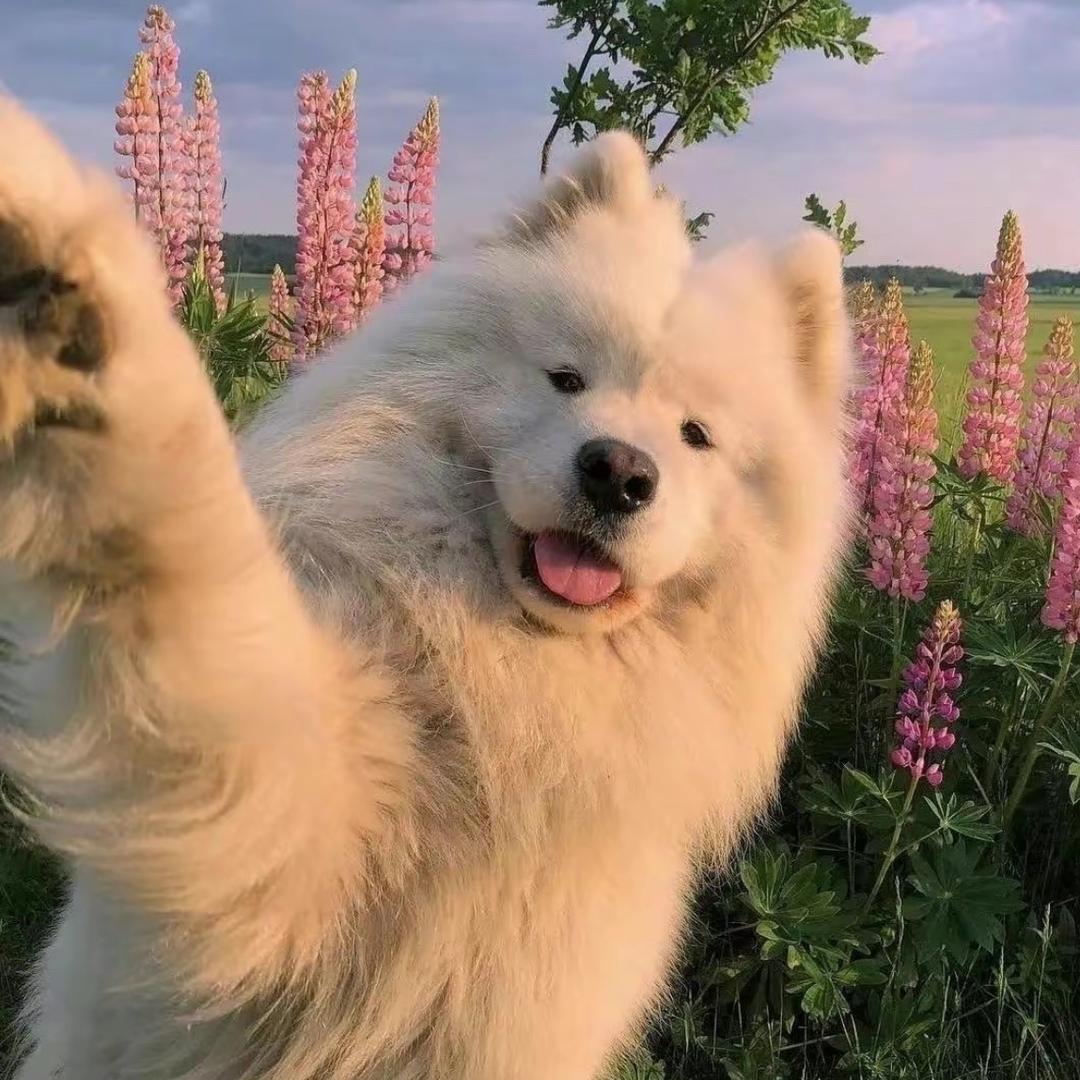 尧恺鑫