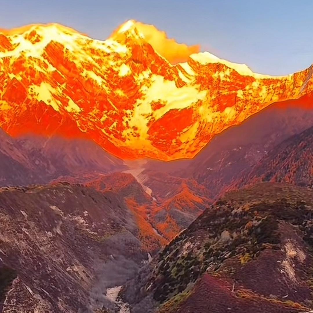 F白月光👍🏻🔥