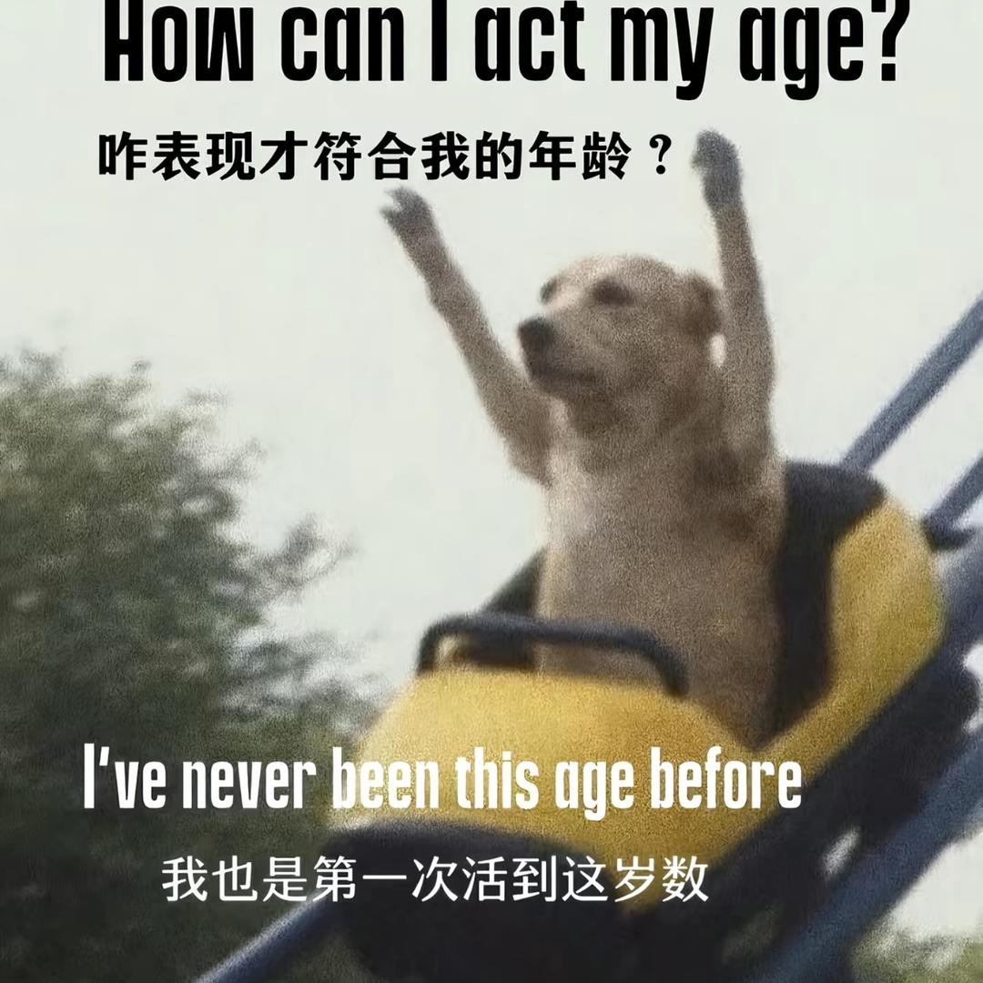卖掉裤子来上网
