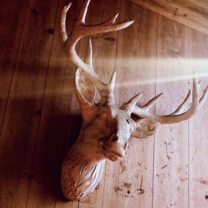 红猛（三角洲）