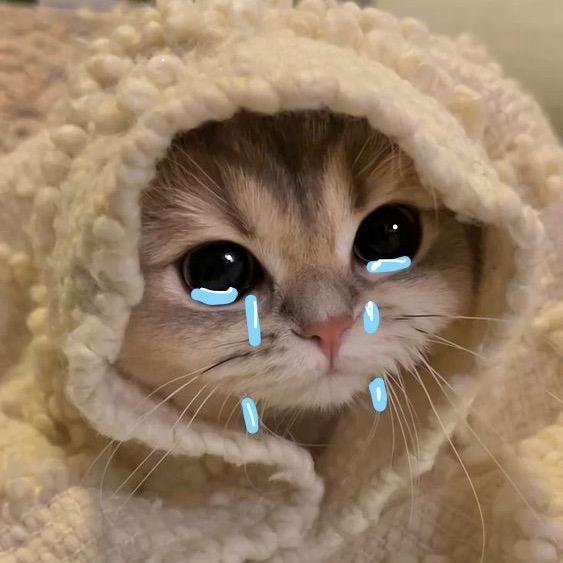 困了就睡觉💤⚜️