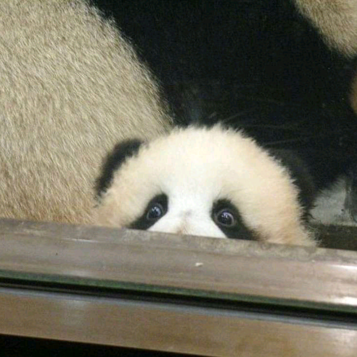 辛久