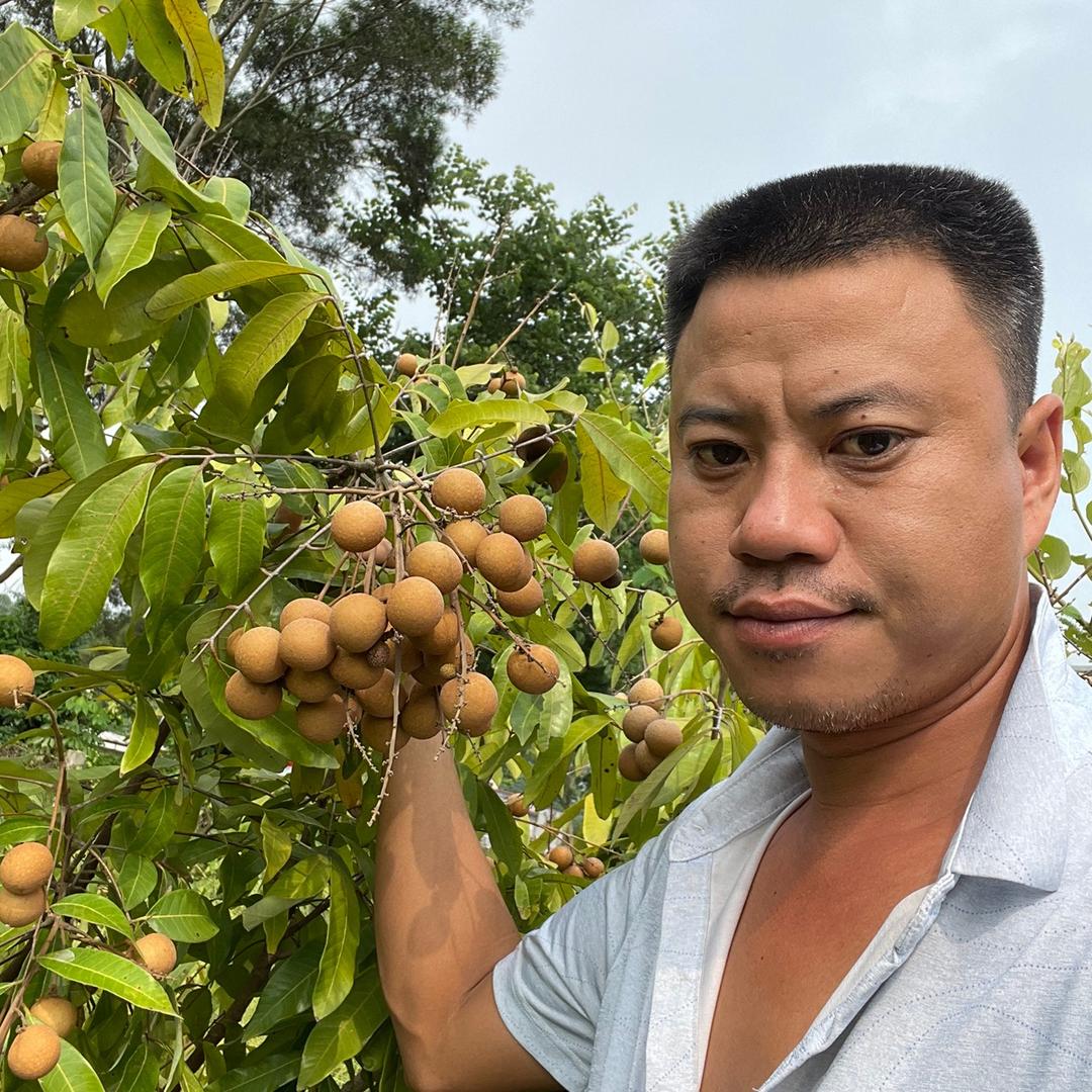 陈武海海业果树苗木专卖店
