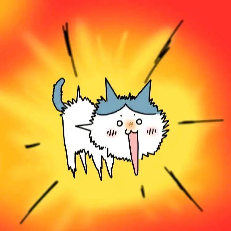魔盖