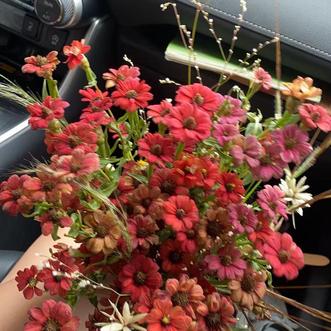 小金豆，重新开始