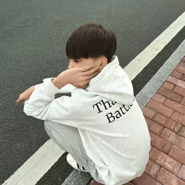 苏淮的淮.