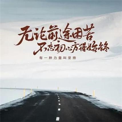 এ🎶涛哥