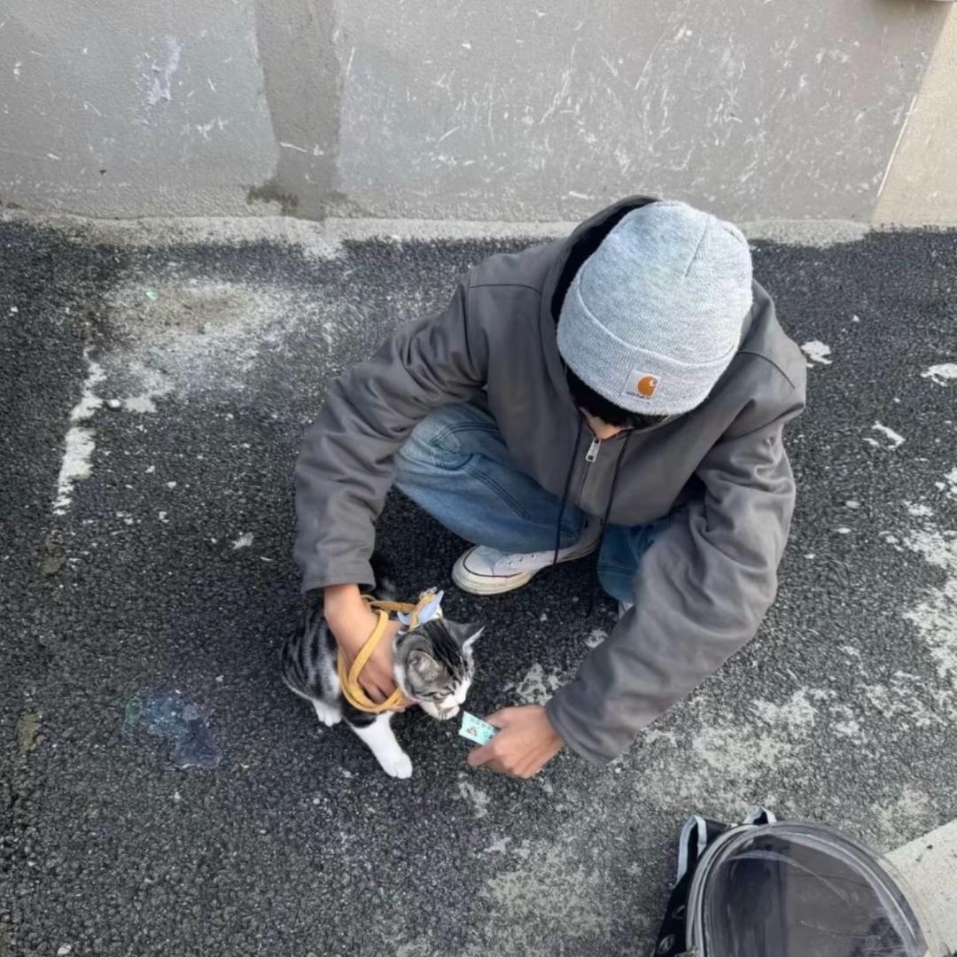 汉堡贼