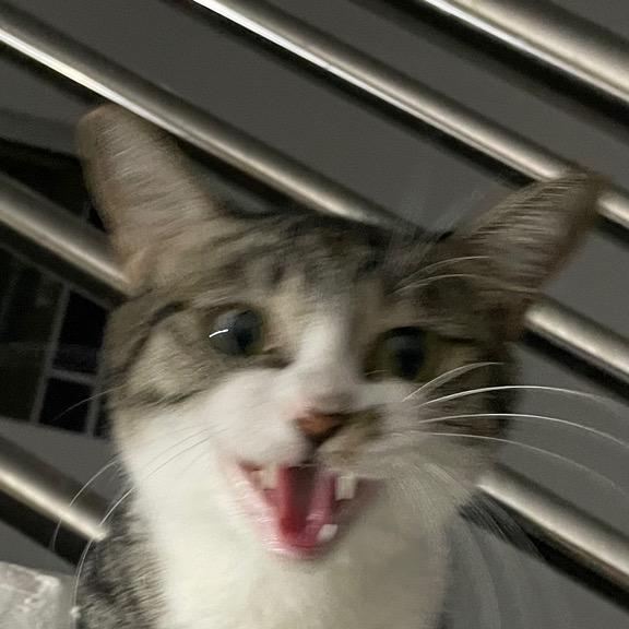 咻賴