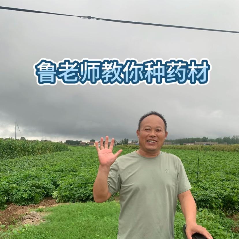 鲁老师教你种药材