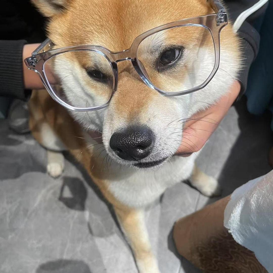 罗卡角