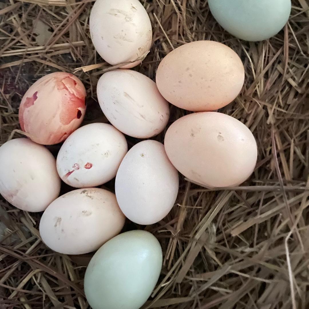 ^O^认真做好每件事