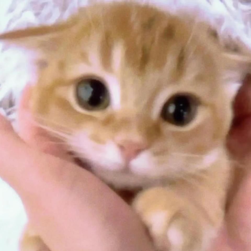 小小巴克