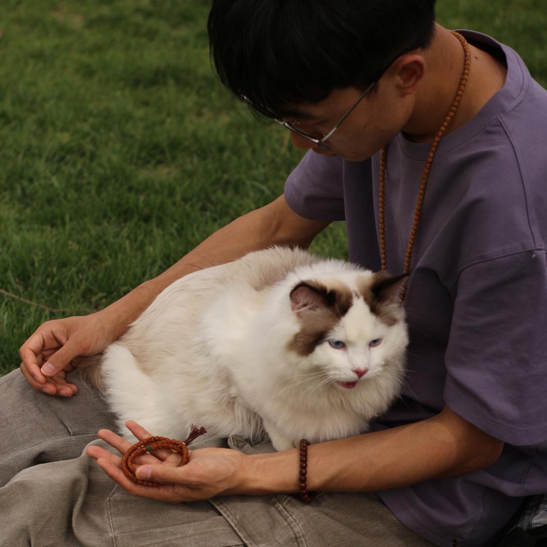 茂师傅与小皮蛋