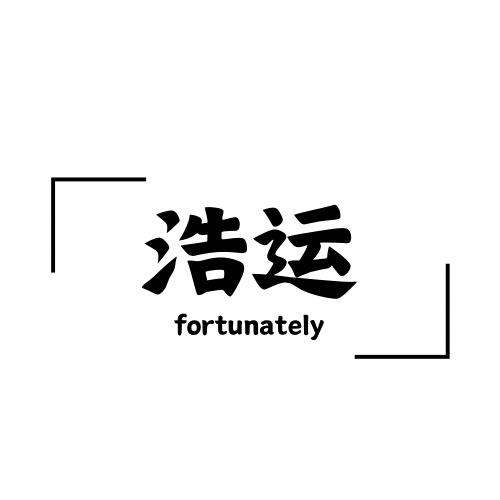 浩运
