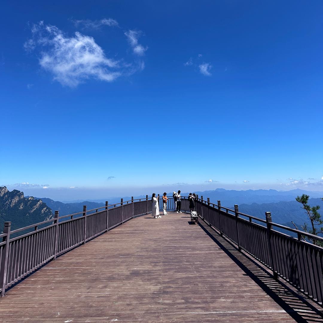 岂有此李