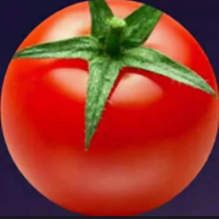 番茄🍅.