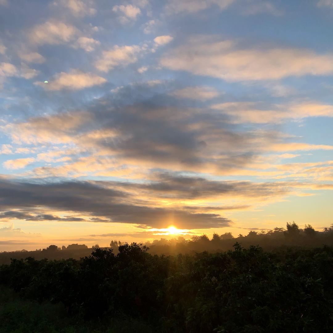🇨🇳泰润丰农业🍐陈舒渝