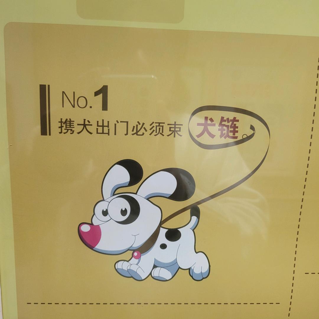 爱越男孩