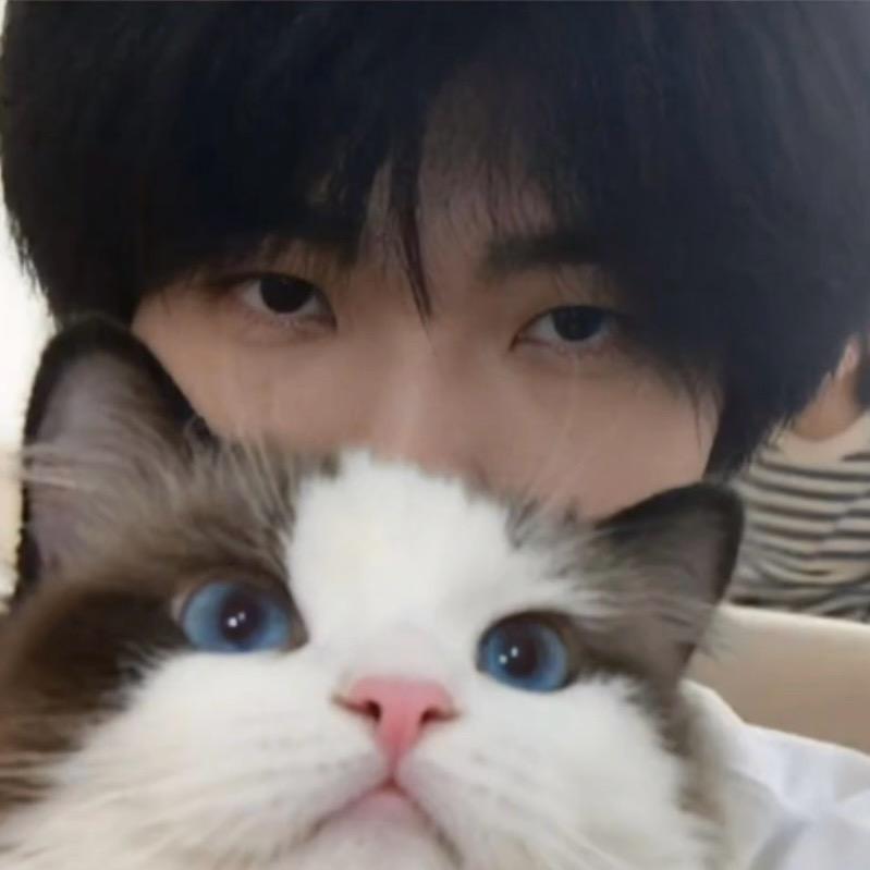 小琛no当恋爱脑