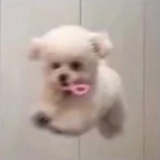 ʚ等等ɞ