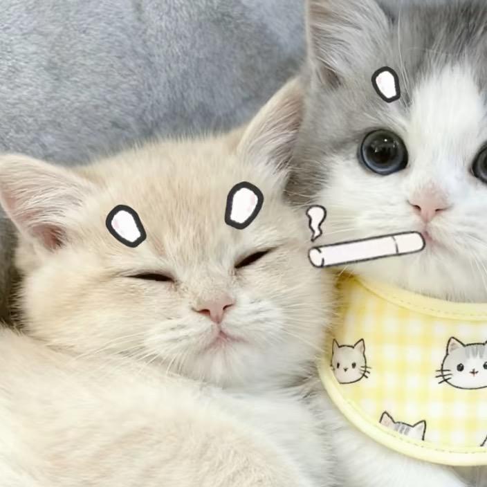 小🐟^