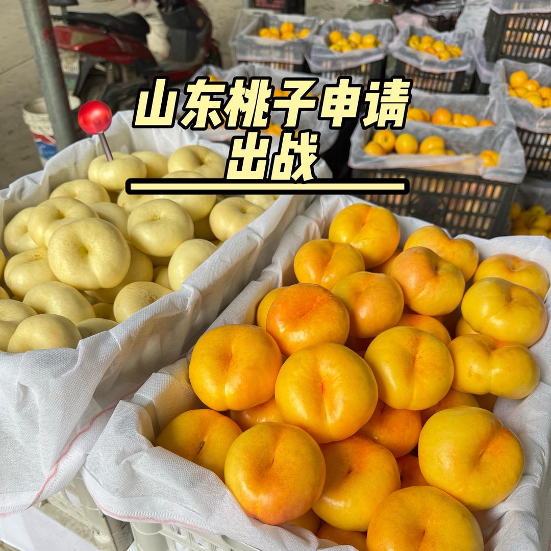 山东薯禾