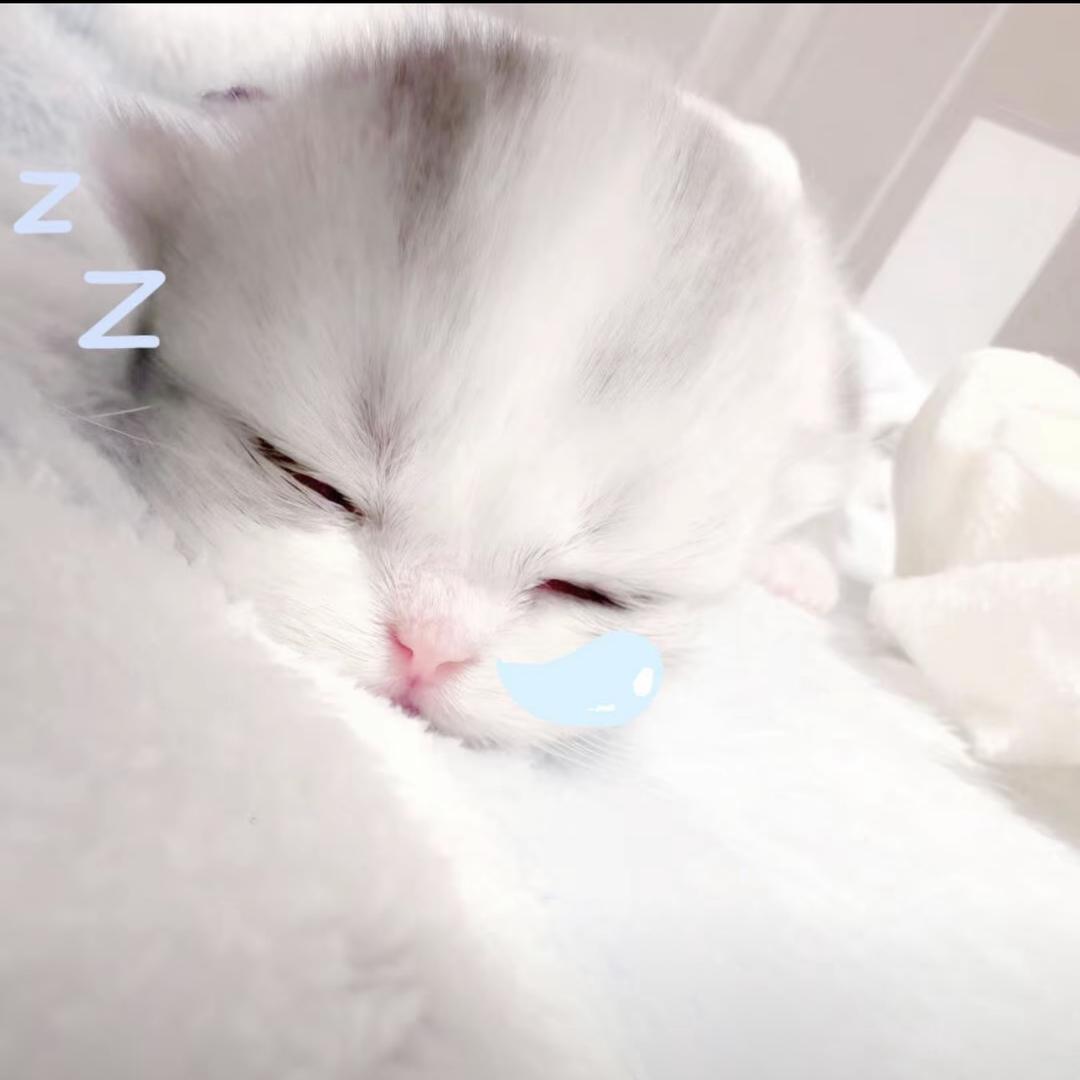 开水炖马拉松
