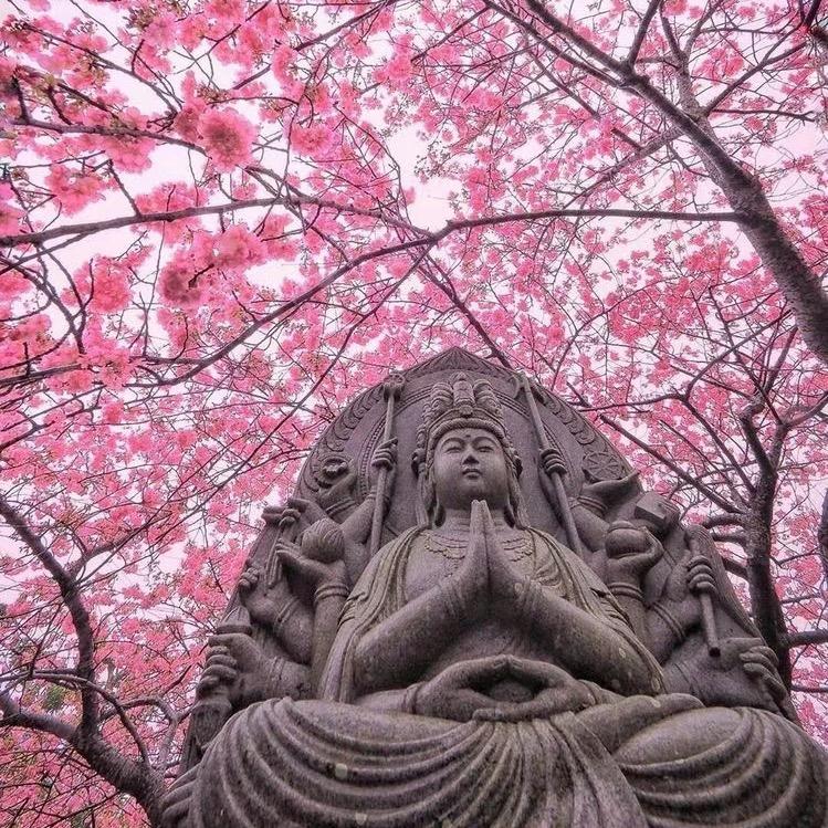 劲枣研究基地