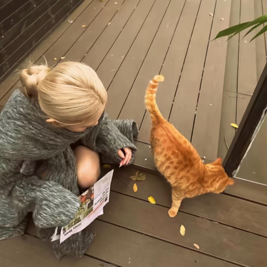 这菠听我的🍍🍣（见过黄誉博版）