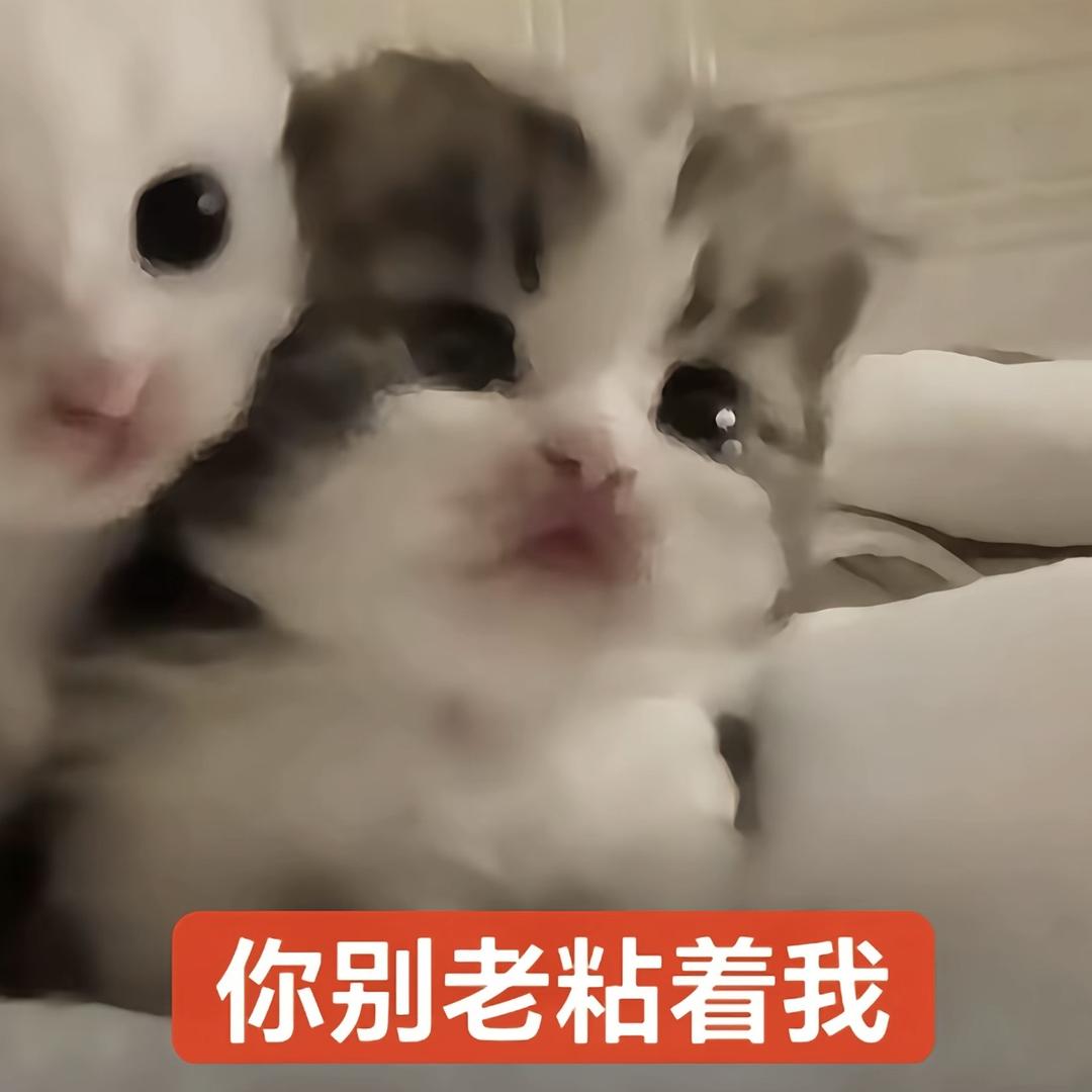 可世界很坏
