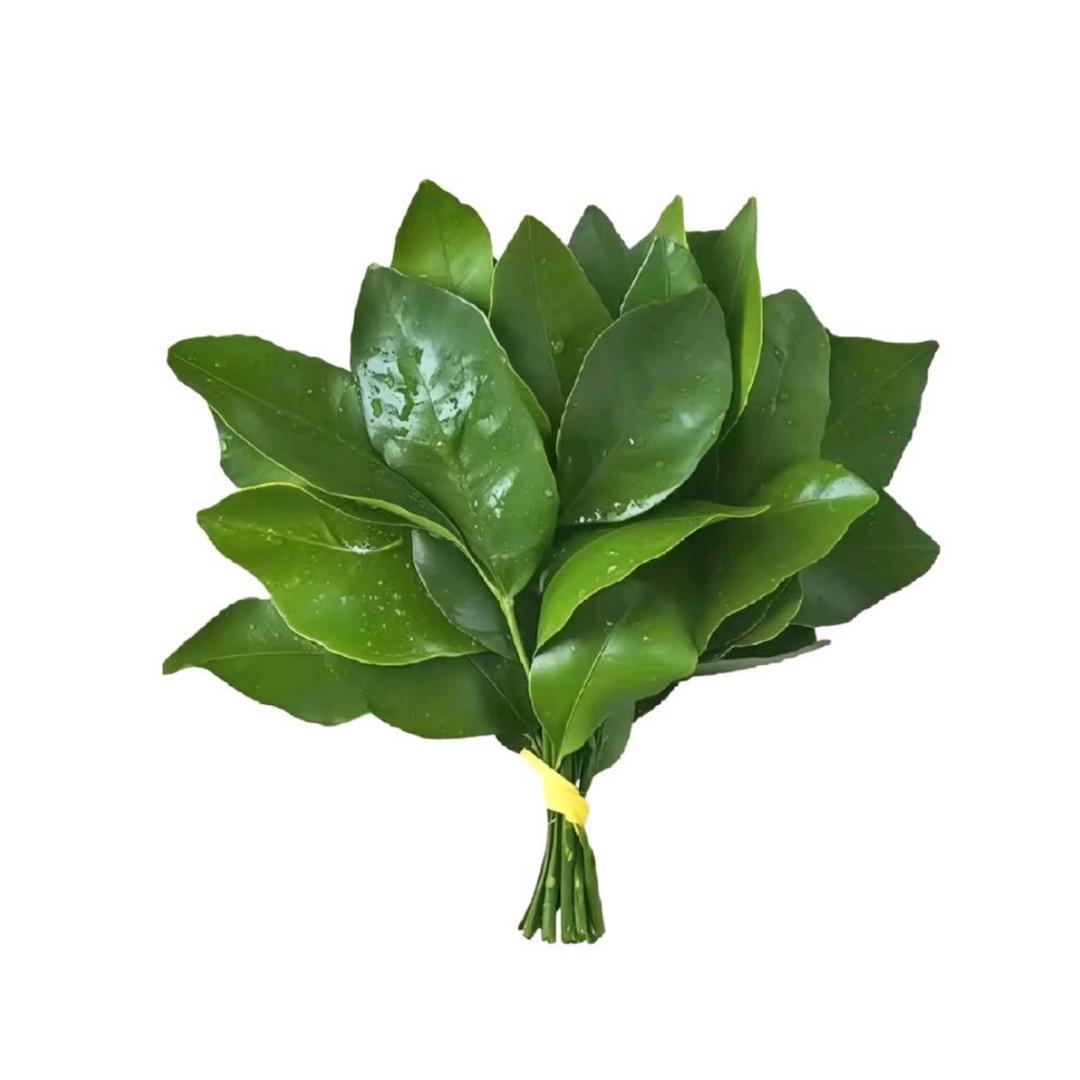 我不是桑信