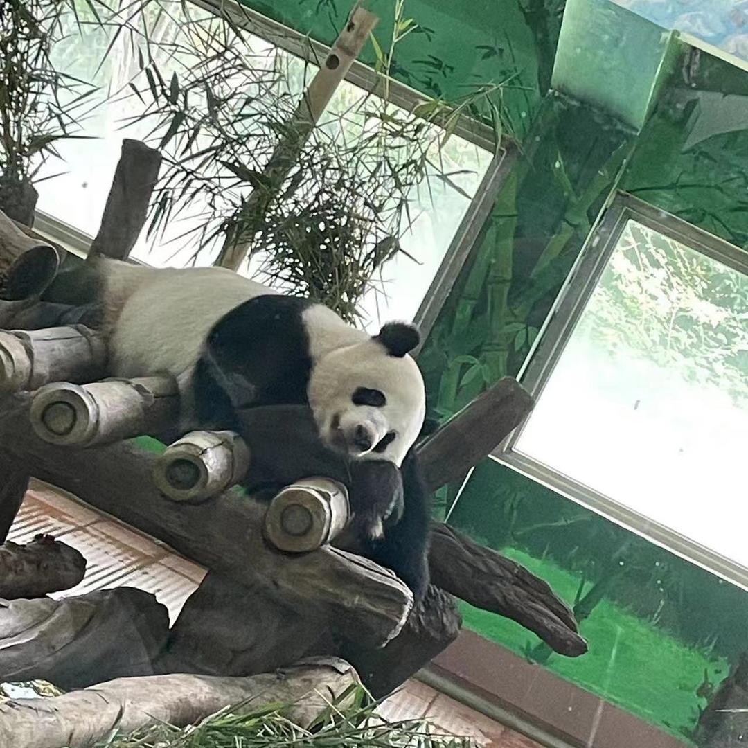 繁华似锦