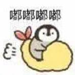 夏天🫧